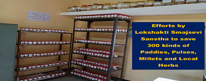 Welcome To Lokshakti Samajsevi Sanstha Chhattisgarh